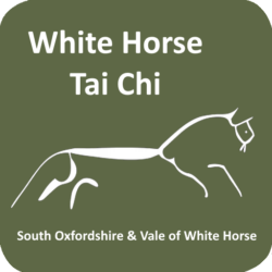Tai Chi Tai Chi White Horse Logo 512px