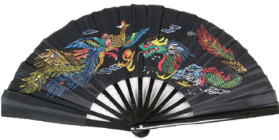 Tai Chi Fan