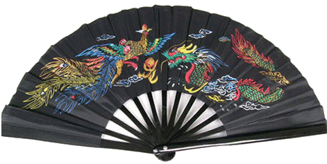 Tai Chi Fan