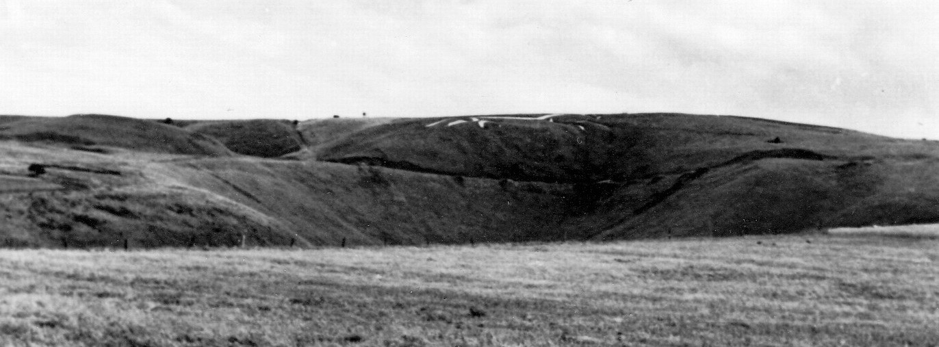 Tai Chi White Horse Hill